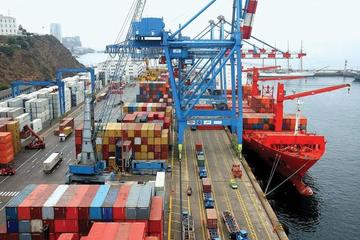 Las exportaciones se agrupan en cuatro grandes sectores según actividad económica.