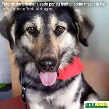 La fotografía del anuncio de Emaverde.