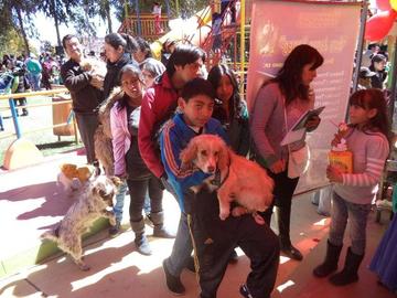 Animales SOS cumplió campaña