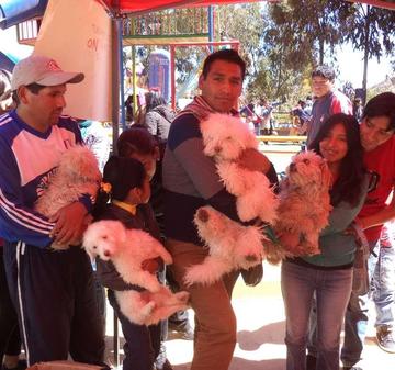Las personas hicieron fila cargados de sus mascotas.