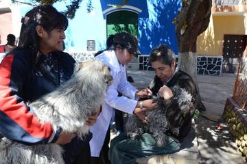 Las familias llevaron a sus animalitos para que sean protegidos.