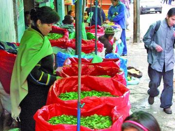 ONU sugiere escuchas telefónicas en nueva ley antidrogas en Bolivia