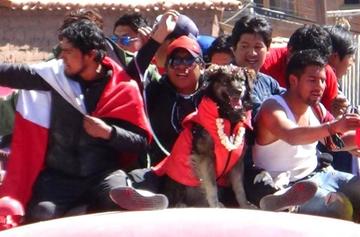 Saxoman estrena canción dedicada al perro Petardo de los potosinos