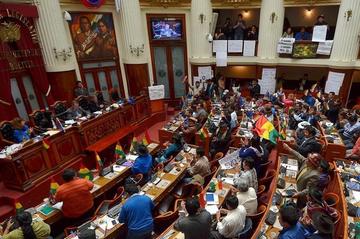 Asamblea aprueba ley de reforma parcial a la CPE tras más de 20 horas de intenso debate