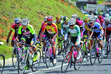El pelotón de ciclistas en la cuarta etapa.
