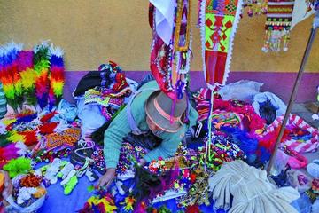 Confirman venta ilegal de plumas de aves en peligro