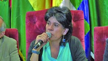 TSE responderá el jueves 8 sobre pregunta de referendo  
