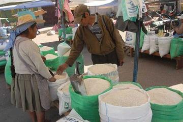 Los arroceros exigen al Gobierno que restrinja la importación.
