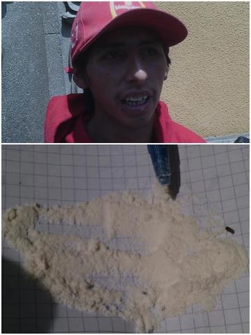 José Escobar exhibió los bichos con un lapicero.