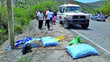 Las cargas de papa quedaron cerca de la carretera.
