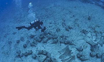 Avisan que Galeón San José  es un bien de la humanidad