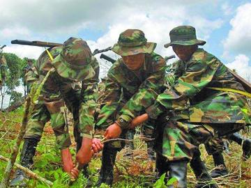 Evo Morales decide que militares entren a los parques nacionales