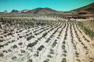 Reportan más comunidades afectadas en jurisdicción municipal