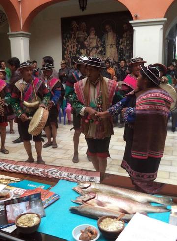 Se exhibió la danza de los yureños.
