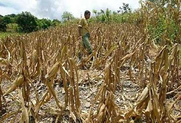 Hay más de 12.000 familias afectadas por El Niño.