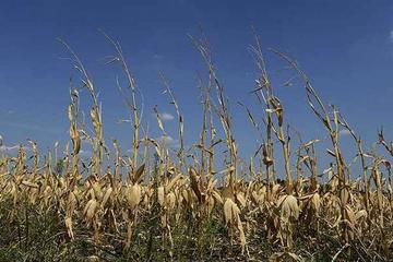 Sedes supervisa efectos de El Niño
