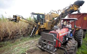 Los cañeros piden liberar exportación