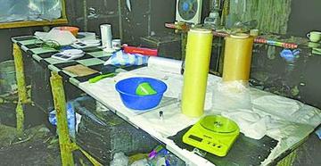Hallan un megalaboratorio de cocaína en Santa Cruz