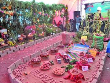 Feria productiva elige a ganadores