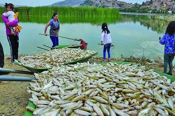 El nivel de las aguas de la laguna Alalay se ha reducido en 50 %