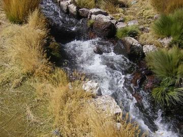 Potosí rechaza que las aguas del Silala sean río