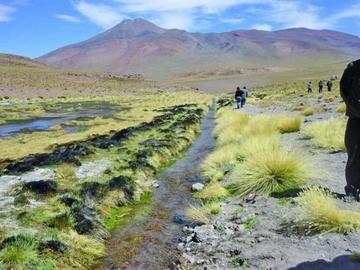 Bolivia probará mañana que las aguas del Silala no son río