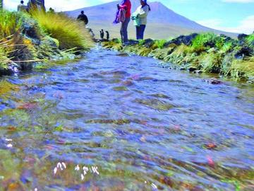 Este manantial pasa al vecino país a través de un canal artificial.