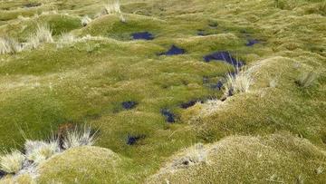 Potosí dispone documentos para la demanda por el agua