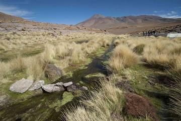Las aguas potosinas van a Chile por canales artificiales.