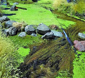 Movimientos sociales ratifican defensa de las aguas del Silala