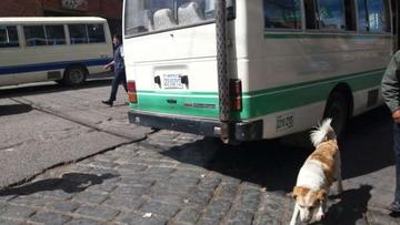 Vecinos se quejan por alta contaminación de micros