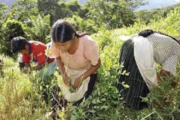 El sector en Bolivia expresó que no permitirán que el país del norte los asocie con delitos de narcotráfico.