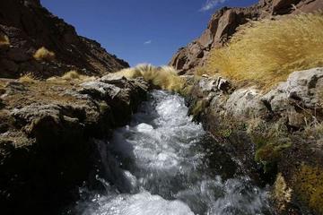 Potosinos se unen en defensa del agua de manantial Silala