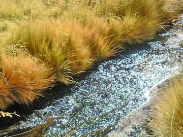 Niegan que el agua de Sacaya sea desviada por personas chilenas