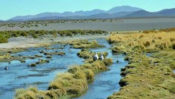 CIJ notifica a Bolivia el contenido del proceso de Chile por el Silala