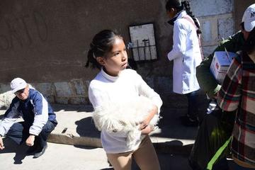 Aún vacunan a perros en las comunidades alejadas