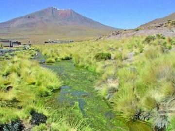 Bolivia prepara visita a las aguas del Silala un día antes que Chile
