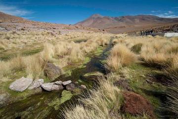 Las aguas de este lugar nacen de un sistema de manantiales en el Departamento de Potosí.