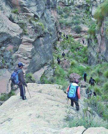 Los aventureros se acercan a la cueva.