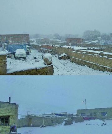El paisaje que rodea a las viviendas se ha torna de blanco.
