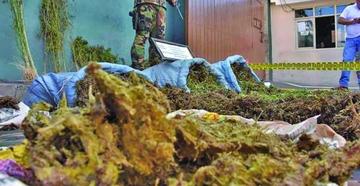 Incineran 9 toneladas de marihuana en La Estrella de Santa Cruz