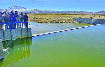Senador pide demandar a Chile por el desvío del agua del Lauca