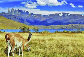 Llaman a escribir relatos  sobre tierra en América