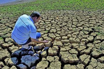 Sequía afecta a más de 45 mil familias productoras en el país 