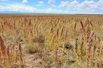 La sequía continúa afectado al sudoeste