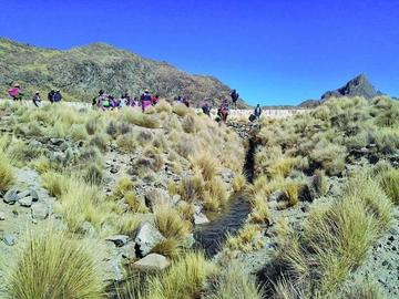Los campesinos atacaron a los que fueron a verificar el robo.