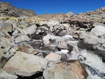 Se llevaron el agua a través de un canal rudimentario.