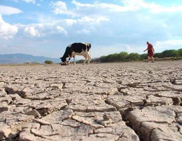 Ocho de nueve departamentos están afectados por la sequía