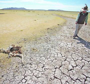 El Gobierno destina 3.2 millones de Bolivianos para enfrentar la sequía