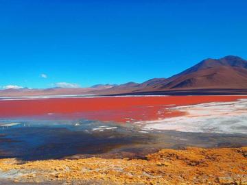 Alertan secado de laguna Colorada